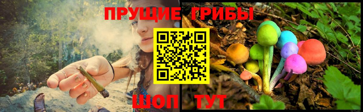 Галлюциногенные грибы Psilocybe  Вход с VPN  Щёлково 